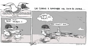 giulio il gabbiano